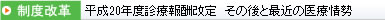 平成20年度診療報酬改定　その後と最近の医療情勢 