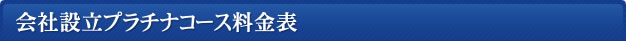 会社設立プラチナコース料金表