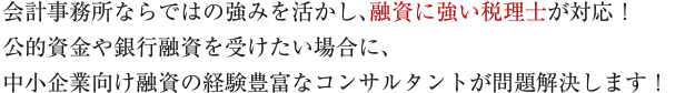 会計事務所ならではの強みを活かし、融資に強い税理士が対応！公的資金や銀行融資を受けたい場合に、中小企業向け融資の経験豊富なコンサルタントが問題解決します！
